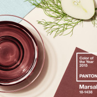 Marsala: colore dell'anno 2015 secondo Pantone
