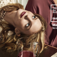 Marsala: colore dell'anno 2015 secondo Pantone