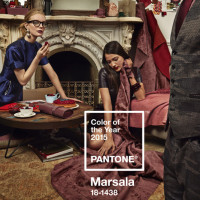 Marsala: colore dell'anno 2015 secondo Pantone