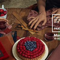 Marsala: colore dell'anno 2015 secondo Pantone