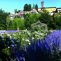 Menichelli, leader dell’ambientazione a verde