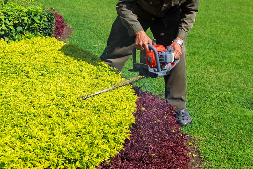 giardino primavera