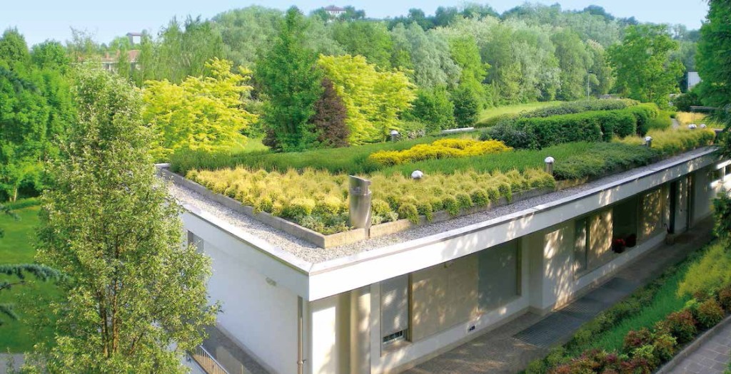 Il giardino sul tetto
