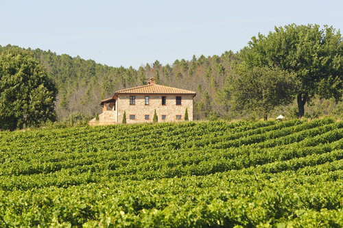 Maremma: terra di relax ambita dagli stranieri