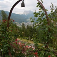 Il roseto sulle Dolomiti