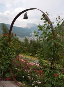 Il roseto sulle Dolomiti