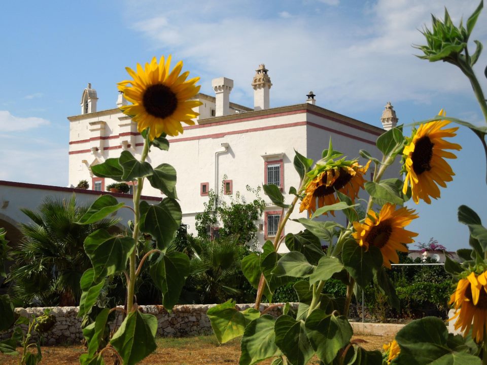 Masseria Montenapoleone