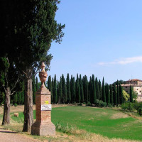 Castelnuovo Tancredi