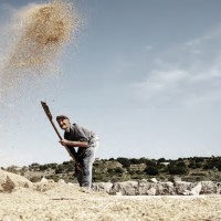 Fotografia: un poema epico in Sicilia