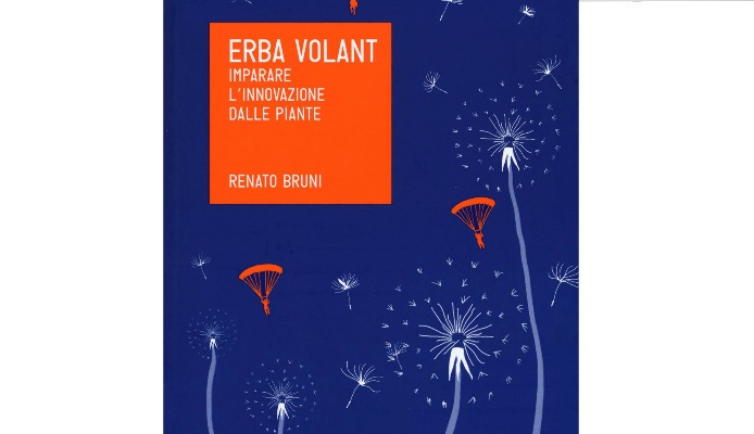 Erba Volant