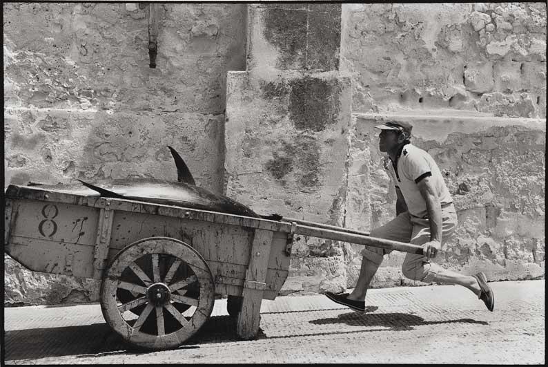 Leonard Freed