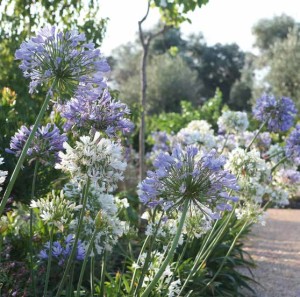 Giardino botanico