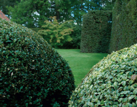 il giardino segreto - arredamento di esterni