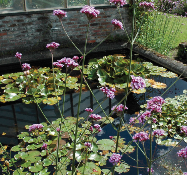 giardino segreto della famiglia wirtz