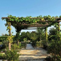 Creare un giardino