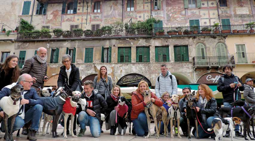 Verona pet friendly