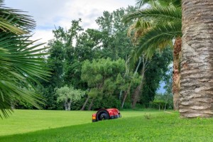 Grandi giardini