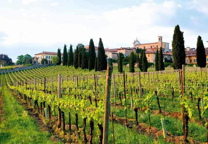 Visitare la Franciacorta