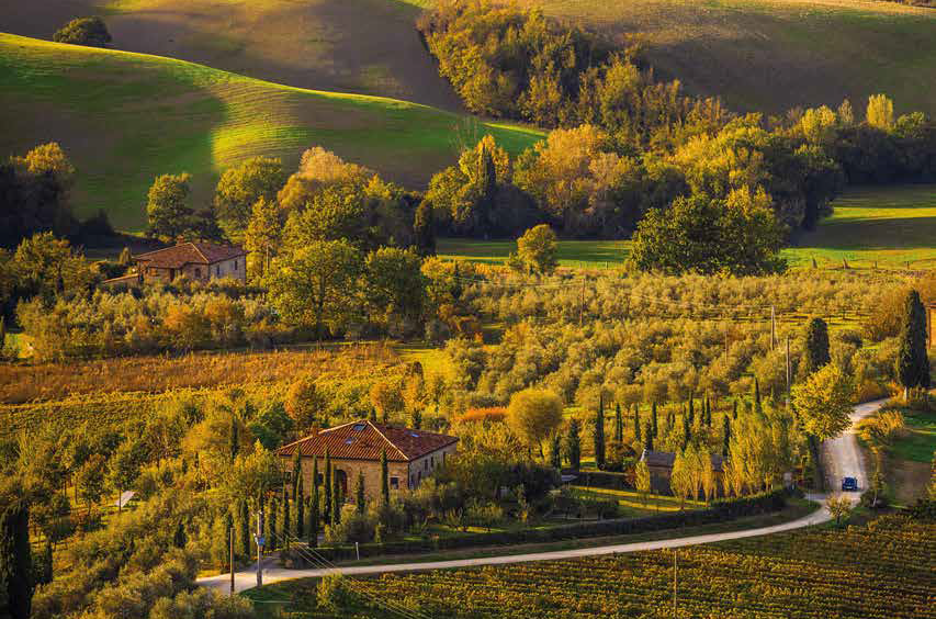 montepulciano