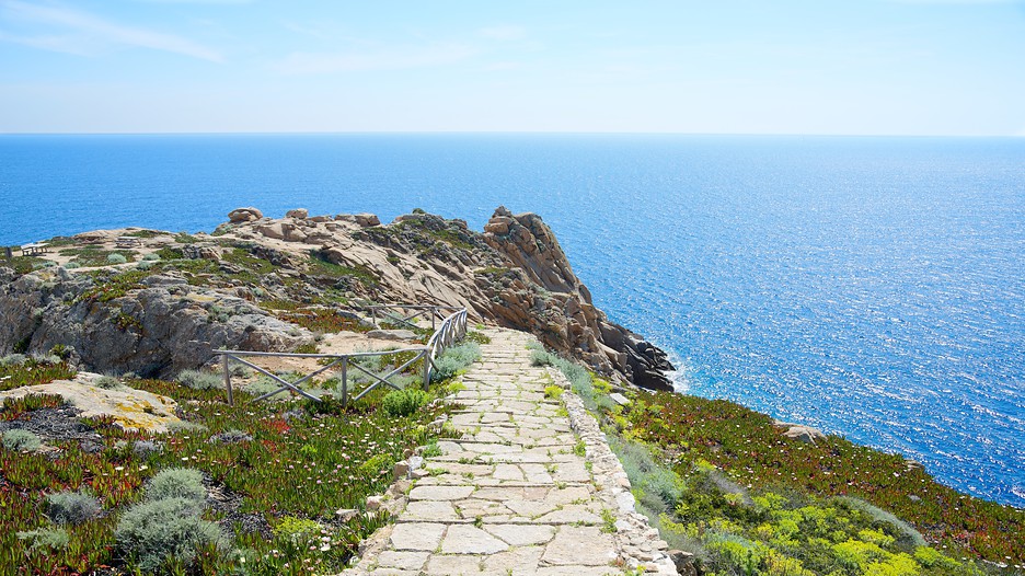 Isola Del Giglio arcipelago toscano itinerario