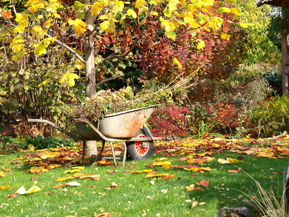 giardino autunno