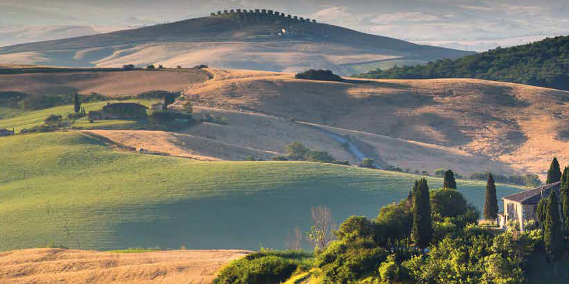 La straordinaria produzione vinicola della Val d'Orcia