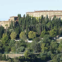 La biodiversità della Costa degli Etruschi