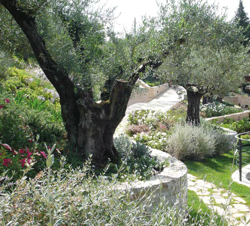 Il progetto di landscape design per una villa di Perugia