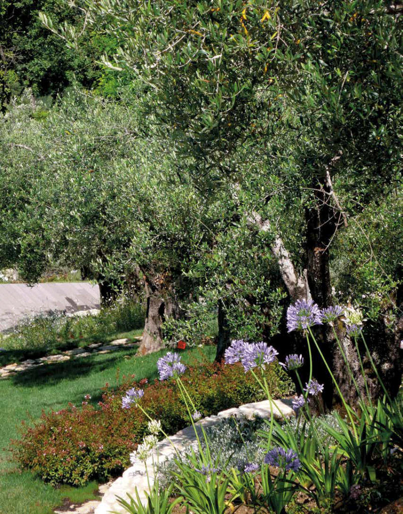 Il progetto di landscape design per una villa di Perugia