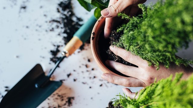 I lavori per il giardino a Febbraio