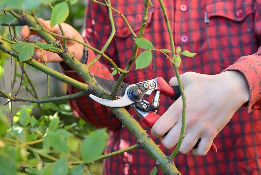 I lavori per il giardino a Febbraio