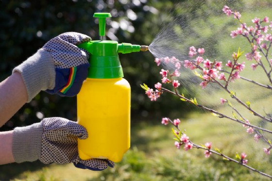 I lavori per il giardino a Febbraio