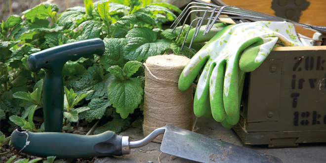 I lavori per il giardino a Febbraio