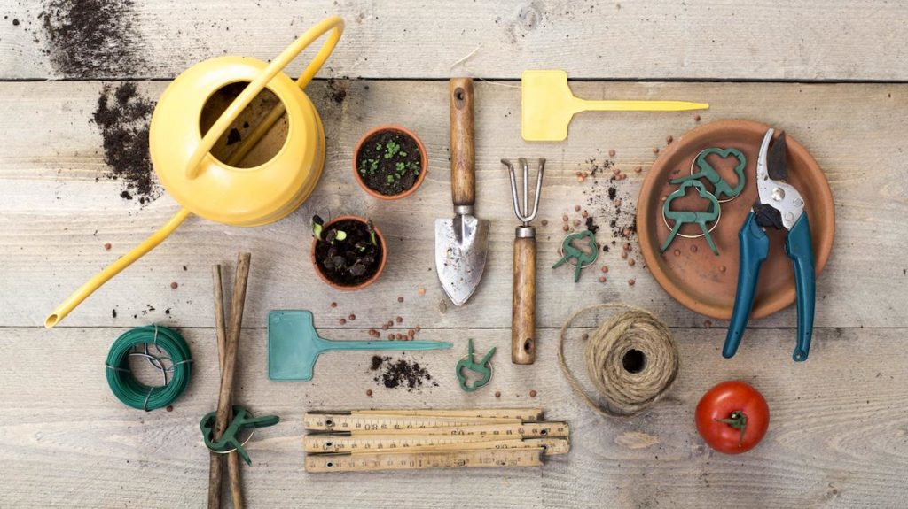 Le pratiche per la manutenzione del giardino in aprile