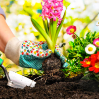 Le pratiche per la manutenzione del giardino in aprile