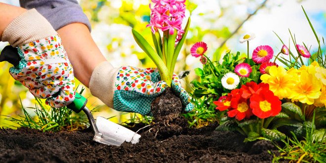 Le pratiche per la manutenzione del giardino in aprile