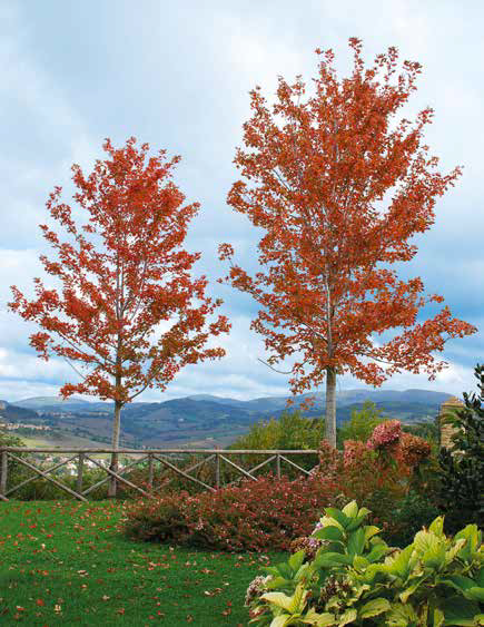 Il garden design in una villa a Camerino