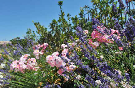 Il garden design in una villa a Camerino