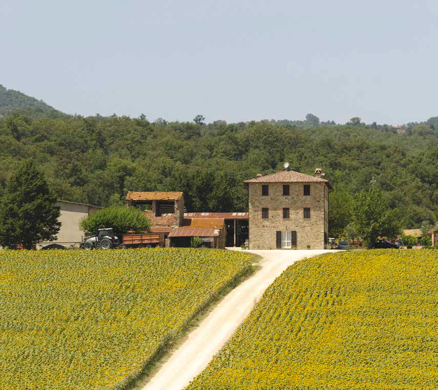 Il mercato immobiliare a Todi