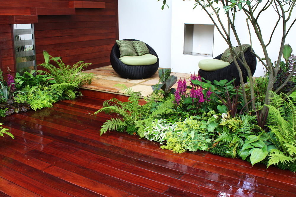 Creare un giardino in casa