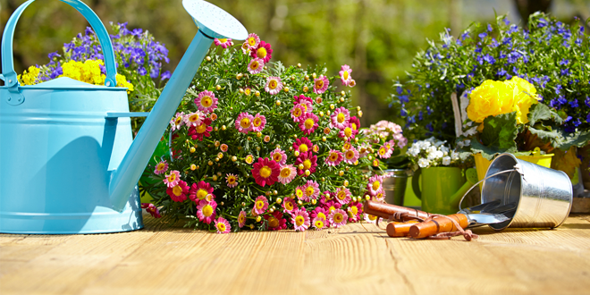 I lavori per il giardino nel mese di Maggio