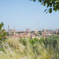 Uno scorcio sui tetti di Bologna da un terrazzo dal gusto romantico