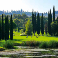 Tour delle cittadine sul Lago di Garda