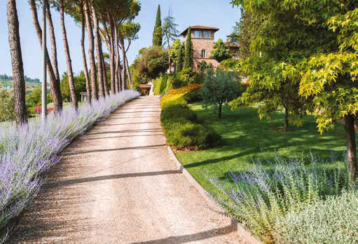 Tappeti fioriti tra le colline toscane: il progetto