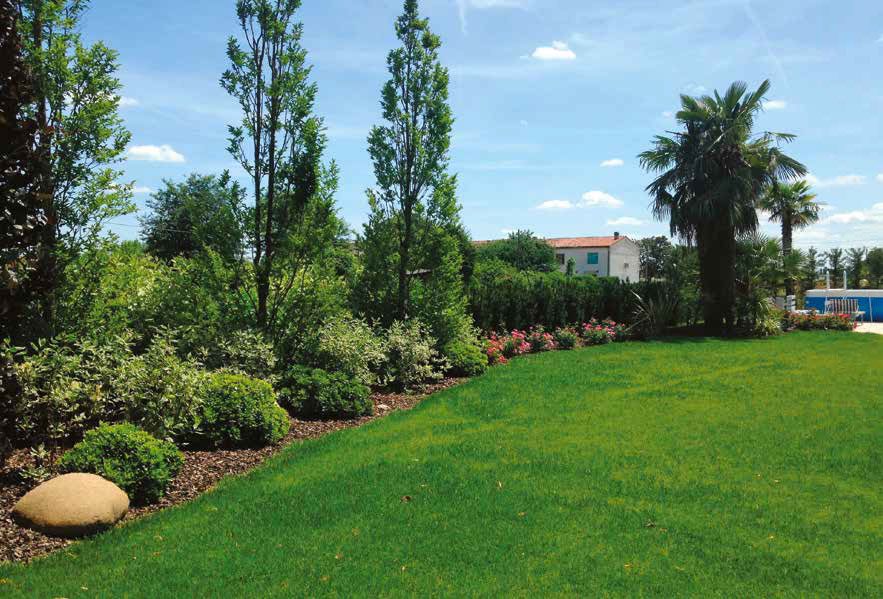 Una pergola verde nella campagna mantovana