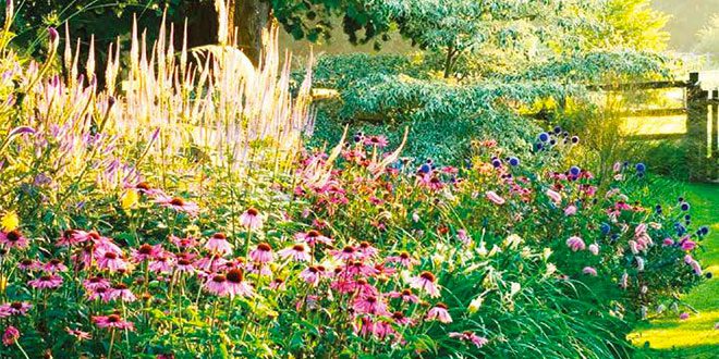 Un giardino cottage contemporaneo alle porte di Treviso