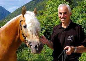 Icona Haflinger, una razza di cavalli che appassiona