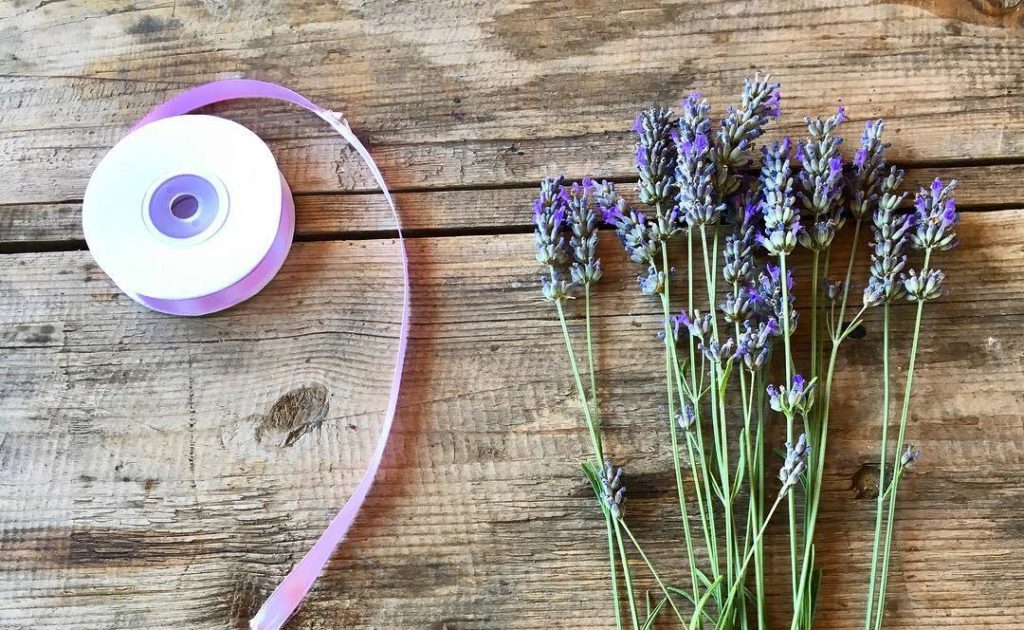 Estate al profumo di lavanda in Toscana