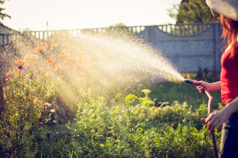 Giardini di giugno: i principali lavori da fare