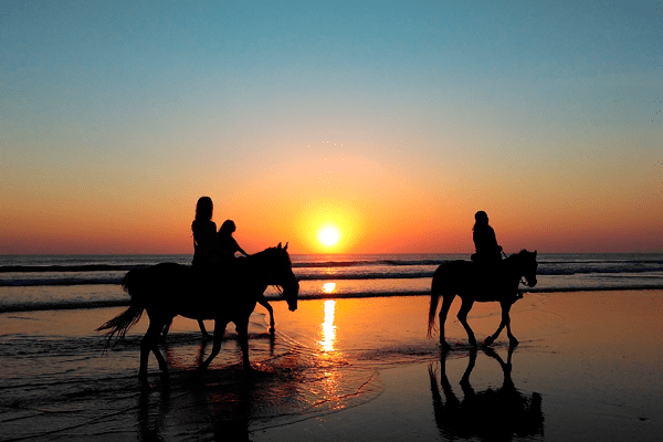 passeggiata a cavallo in spiaggia turismo a cavallo